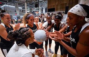 Image post by @ladieswhohoop on Instagram