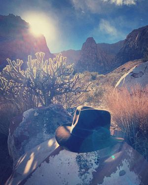 Image post by @israeldavidgroveman on Instagram