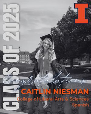 Image post by @marchingillini on Instagram