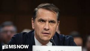 Video post by @msnbc on YouTube