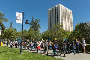 Image post by @sjsubusiness on Instagram