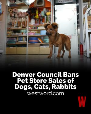Image post by @denverwestword on Instagram