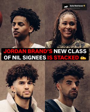 Image post by @soleretriever on Instagram