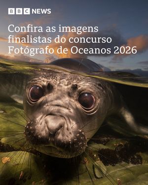 Image post by @bbcbrasil on Instagram