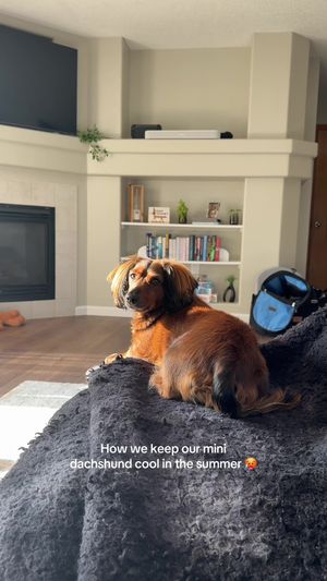 Video post by @kate.cassaidy on TikTok