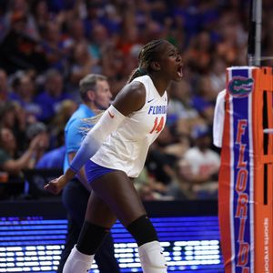 Image post by @GatorsVB on Twitter