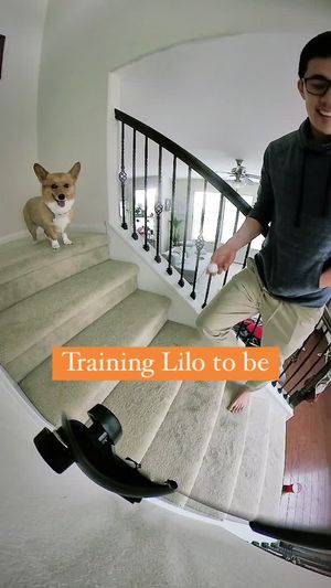 Video post by @aircorg on Instagram