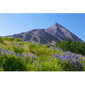Image post by @skicrestedbutte on Instagram