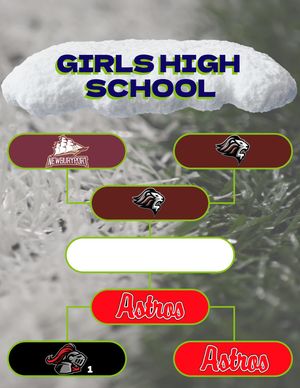 Image post by @hgrlacrosse on Instagram