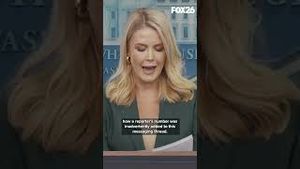 Video post by @kmphfox26 on YouTube