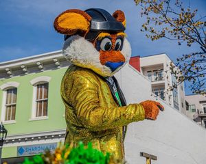 Image post by @stomperrabbit on Instagram