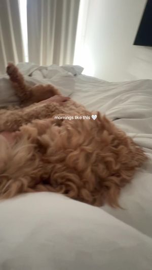 Video post by @tedflixnchill on TikTok