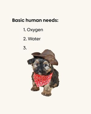 Image post by @thepuppysphere on Instagram