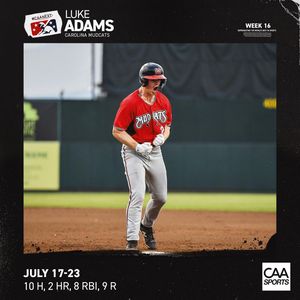 Image post by @caabaseball on Instagram