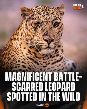 Image post by @pubity on Instagram