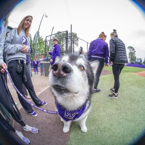 Image post by @dubs_uw on Instagram