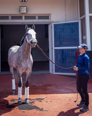 Image post by @worldhorseracing on Instagram