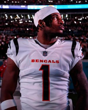 Image post by @bengals on Instagram