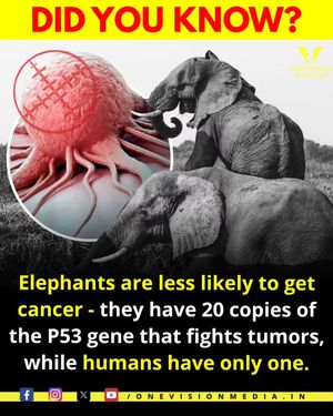 Image post by @onevisionmedia.in on Instagram