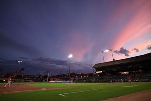 Image post by @MiLB on Twitter