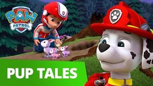 Video post by @pawpatrolofficial on YouTube
