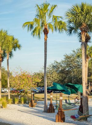 Image post by @usouthflorida on Instagram