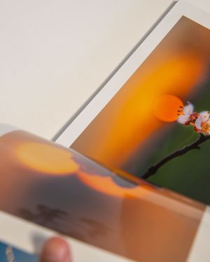 Image post by @saal_digital on Instagram