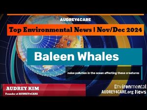 Video post by @audrey4care on YouTube