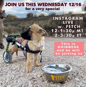 Image post by @drhempdog on Instagram