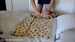 Image post by @meowbarkjax on Facebook