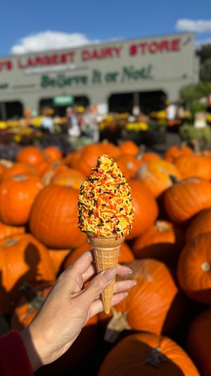 Image post by @stewleonards on Instagram