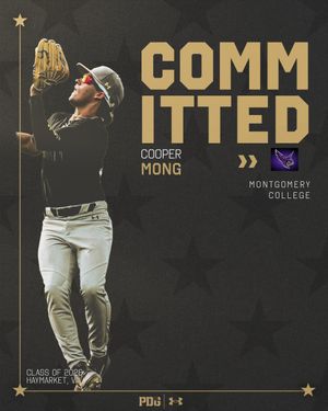 Image post by @pdgabaseball on Instagram