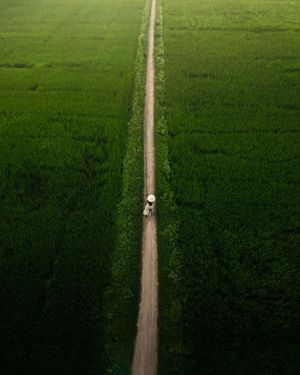Image post by @unsplash on Instagram