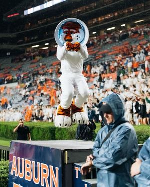 Image post by @aubiethetiger01 on Instagram