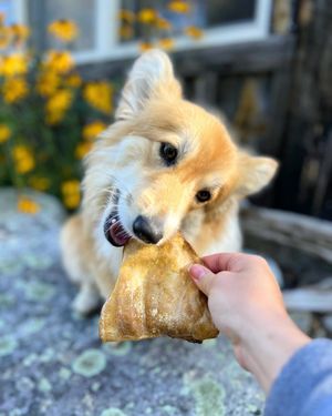 Image post by @honeyimhome on Instagram