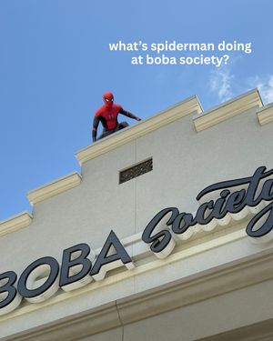 Image post by @bobasocietytn on Instagram