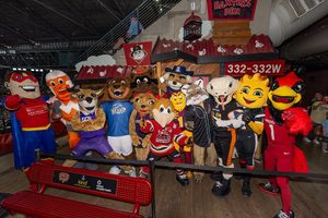 Image post by @dbacksbaxter on Instagram