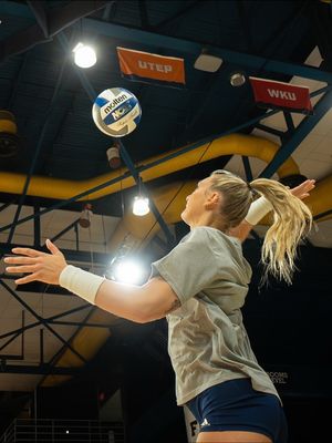 Image post by @utepvb on Instagram