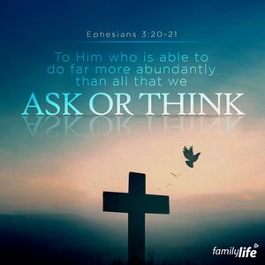 Image post by @familylifenypa on Instagram