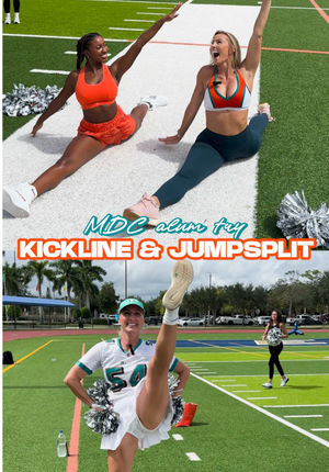 Video post by @dolphinscheer on TikTok