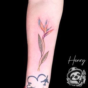 Image post by @whitesloth.tattoo on Instagram
