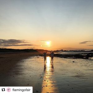 Image post by @candmclub on Instagram