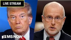 Video post by @msnbc on YouTube