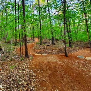 Image post by @blackdiamond_traildesigns on Instagram