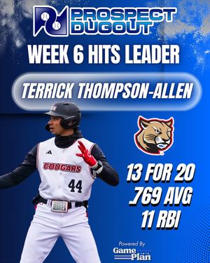 Image post by @prospectdugout on Instagram