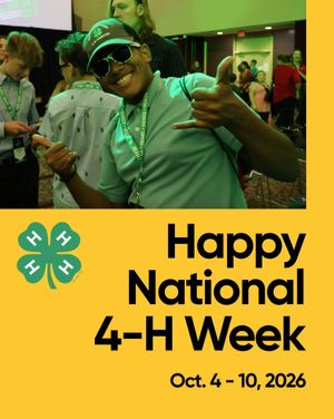 Image post by @northcarolina4h on Instagram
