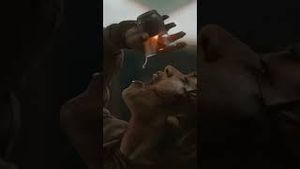 Video post by @warnerbrosentertainment on YouTube
