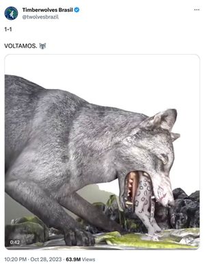 Image post by @TWolvesLead on Twitter