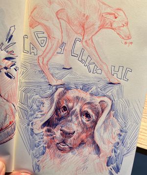 Image post by @ersharium on Instagram