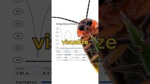 Video post by @google on YouTube